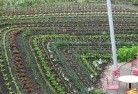 Delorainepermaculture-5.jpg; ?>